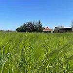In Charming House On The Countryside Homestay *