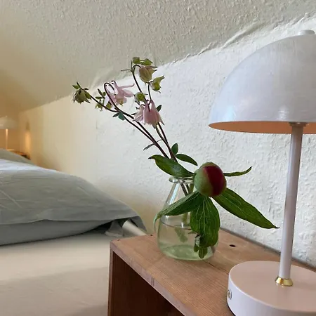 Homestay In Charming House On The Countryside Close To The Ronne
