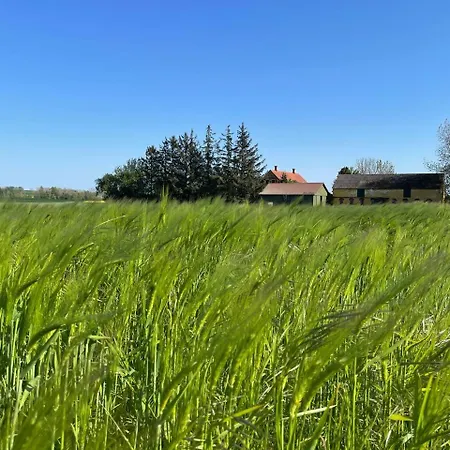 In Charming House On The Countryside Close To The Homestay *