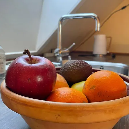 In Charming House On The Countryside Close To The Pansiyon *