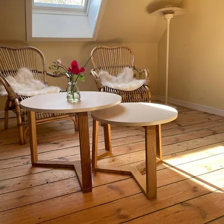 Homestay In Charming House On The Countryside Close To The Ronne