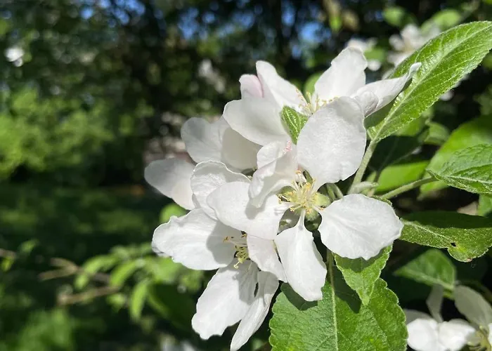 Privatunterkunft In Charming House On The Countryside