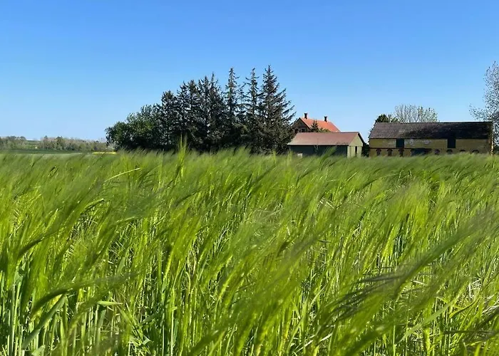 In Charming House On The Countryside Alloggio in famiglia *